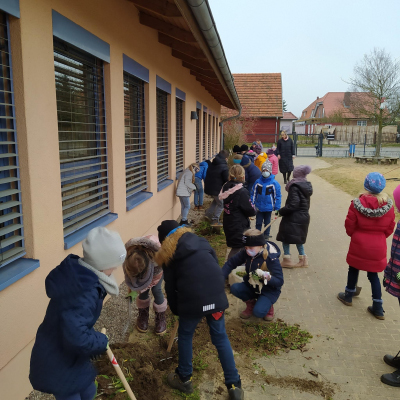 kinder beetbereinigung